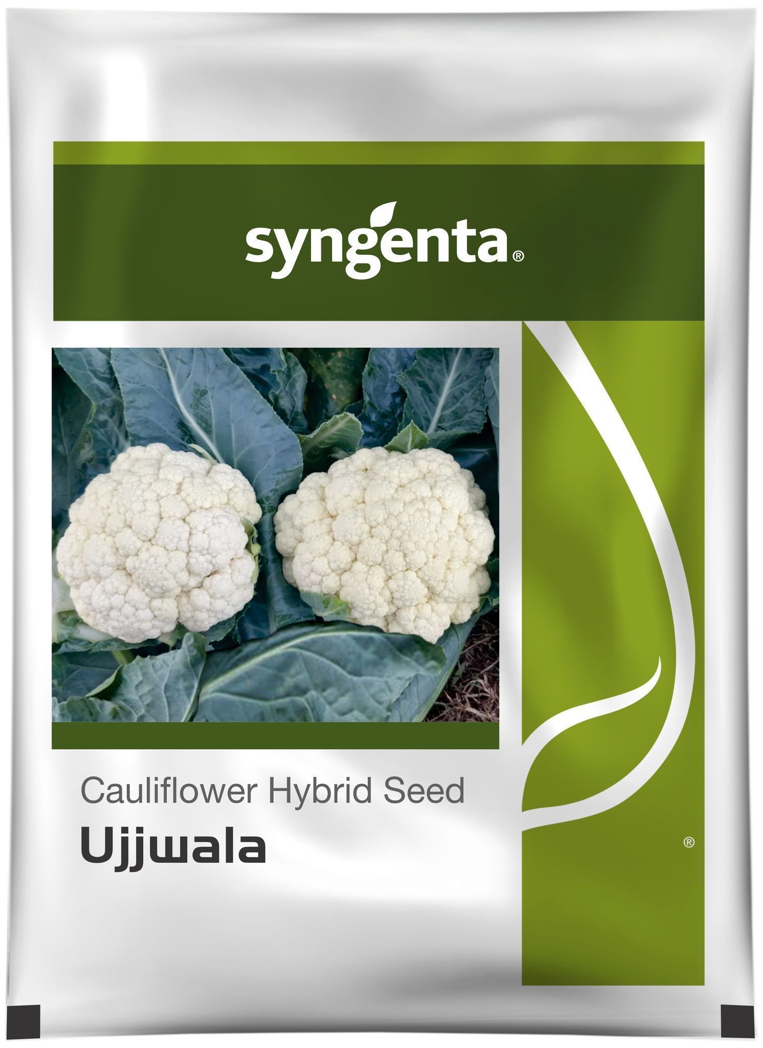 UJJWALA