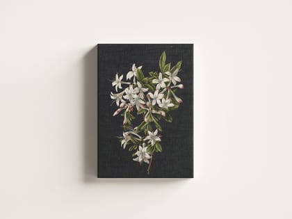 Furnishub Branch of Azaleas in Bloom by M de Gijselaar 1831 Wrapped Museum Finished Canvas Wall Decor Size 20 x 30 Inches