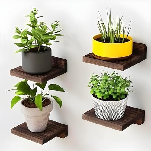 Dime Store Engineered Wood Floating Shelves for wall Decor Wall Shelf Storage Organizer | Mini Display Shelf for