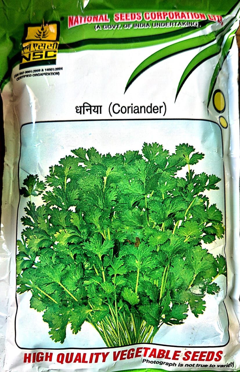 NSC-CORIANDER/ ARKA ISHA 100 GMS SEEDS