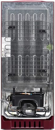 Lloyd 225 L 2 Star Direct Cool Single Door Refrigerator (GLDC242SGWS2PB, Gardenia Wine, With Base Stand) Lloyd 225 L 2 Star Direct Cool Single Door Refrigerator (GLDC242SGWS2PB, Gardenia Wine, With Base Stand) - Gardenia Wine / 225 L Lloyd 225 L 2 Star Direct Cool Single Door Refrigerator (GLDC242SGWS2PB, Gardenia Wine, With Base Stand) Lloyd 225 L 2 Star Direct Cool Single Door Refrigerator (GLDC242SGWS2PB, Gardenia Wine, With Base Stand) - Gardenia Wine / 225 L