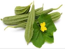 Ridge gourd