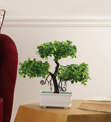 FOLIYAJ Artificial Bonsai Tree with Heart Shaped Leaves with Pot |Bonsai Tree|Artificial Flower|with Pot|Home D�cor for Living Room Home Office Shop|House|Gift|Decoration FOLIYAJ Artificial Bonsai Tree with Heart Shaped Leaves with Pot |Bonsai Tree|Artificial Flower|with Pot|Home D�cor for Living Room Home Office Shop|House|Gift|Decoration