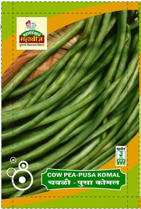 Mahabeej Cow pea / Cow pea Pusa Komal genetically pure seed 50 gm