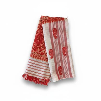 Traditional Red and White Paisley Pattern Ethnic Saree
