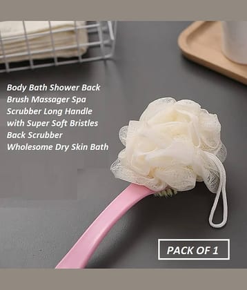 Generic Organic Long Handle Men & Women Body Brush ( Pack of 1 )
