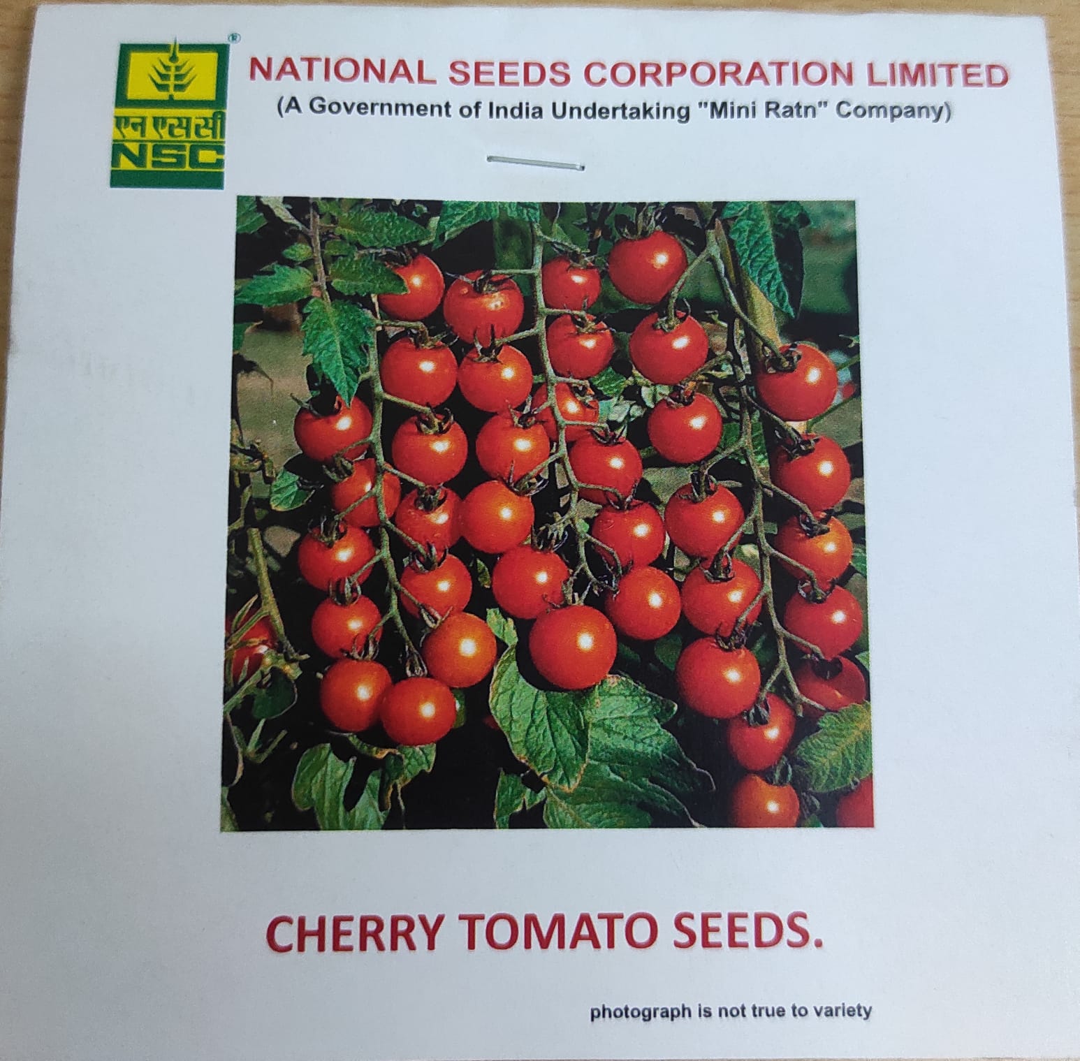 NSC Cherry Tomato-3 Seed, 1gm