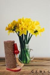 Bamboo Pen Stand With Tarpa