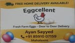 Eggcellent