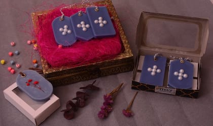 Wardrobe Freshner Box