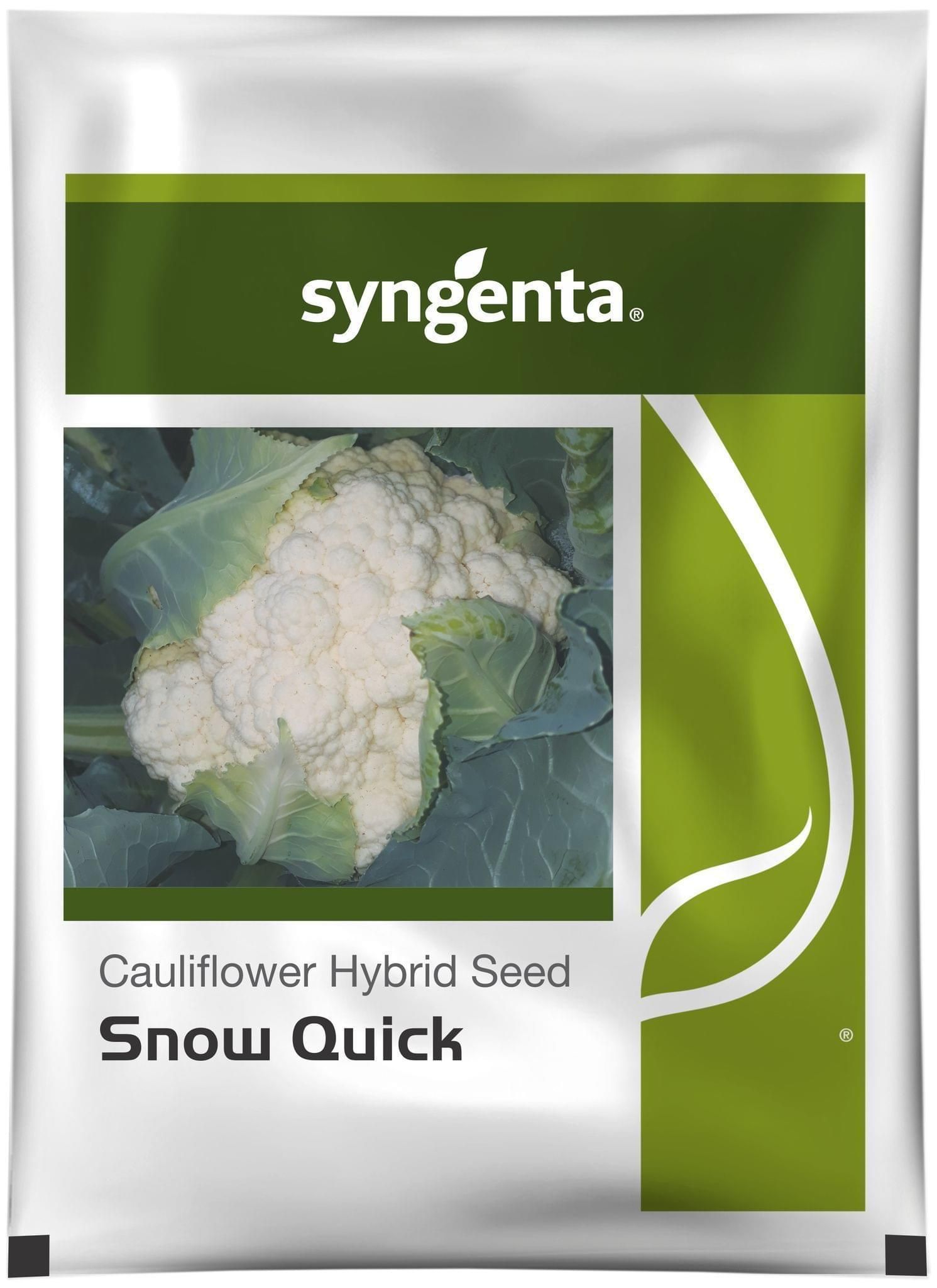 SNOW QUICK