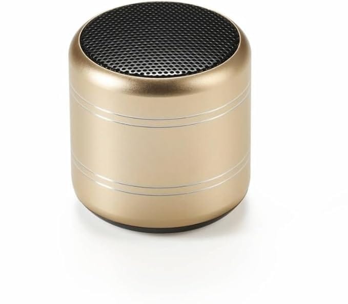 Dynamic Metal Sound with High Bass Bluetooth Speaker Rechargeable Bluetooth Indoor and Outdoor Speaker for Support TF Card & Mic Compatible with All Smartphones