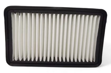Sofima Air Filter S3643A2