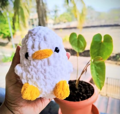 Duck