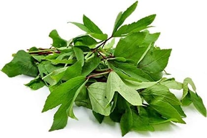 Ambadi Bunch - Gongura Bunch 1 Bunch