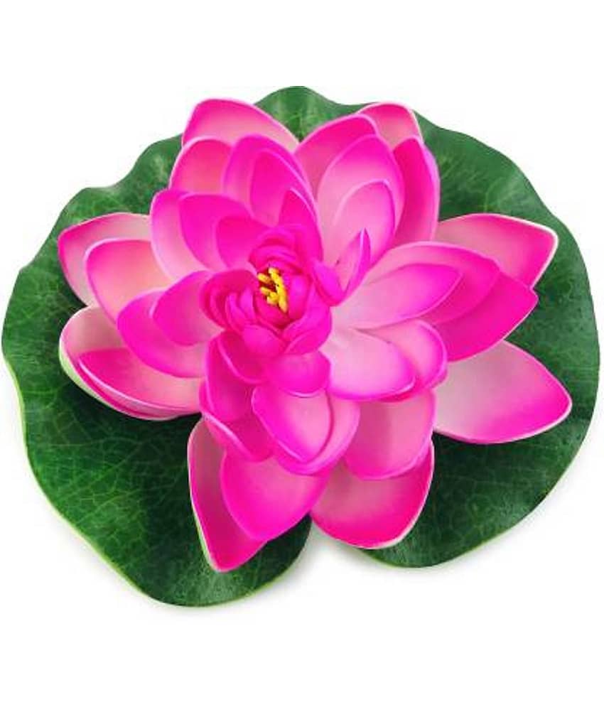 Green plant indoor Lotus Pink Floating Flowers - Pack of 1