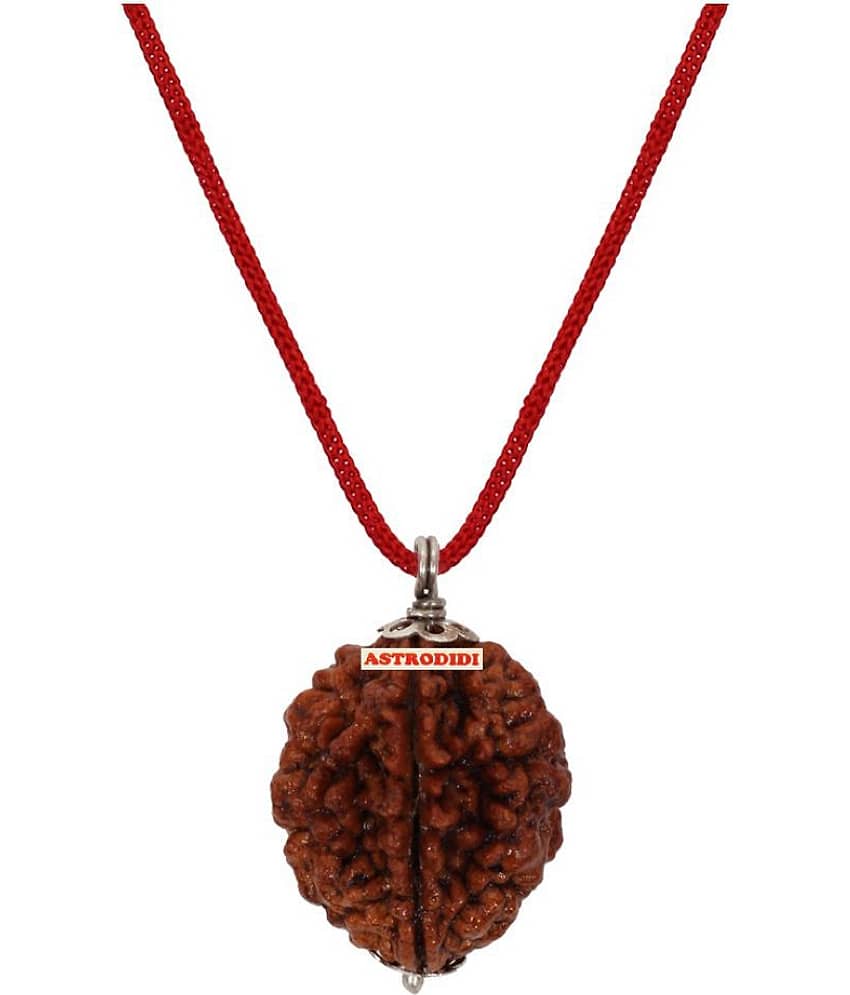 Astrodidi 2 Mukhi Two Face Rudraksha With Lab Report