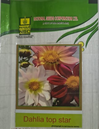 NSC Dahlia Top Star Beauty Mix Flower Seed- 5 gm