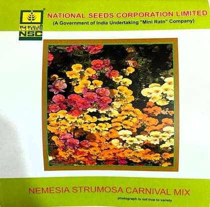 NSC Nemesia Strumosa Carnival Mix Flower Seed NSC Nemesia Strumosa Carnival Mix Flower Seed