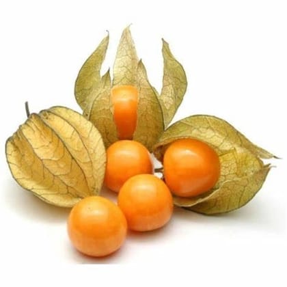 Cape Gooseberry / Golden Berry - Rasbhari - Rasbhari - 1 Pack
