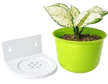Wall Mounted Plant Holder with Free Pot Included | Plastic Hanging Planter Shelf for Indoor Outdoor Garden & Balcony (White Green)