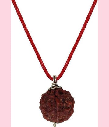 Astrodidi 6 Mukhi Rudraksha With Lab Certificate