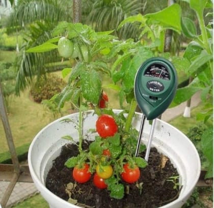 DHRUVINSRI 3-in-1 Soil Tester Plant Moisture Sensor – Measure Moisture, pH, and Light DHRUVINSRI 3-in-1 Soil Tester Plant Moisture Sensor – Measure Moisture, pH, and Light