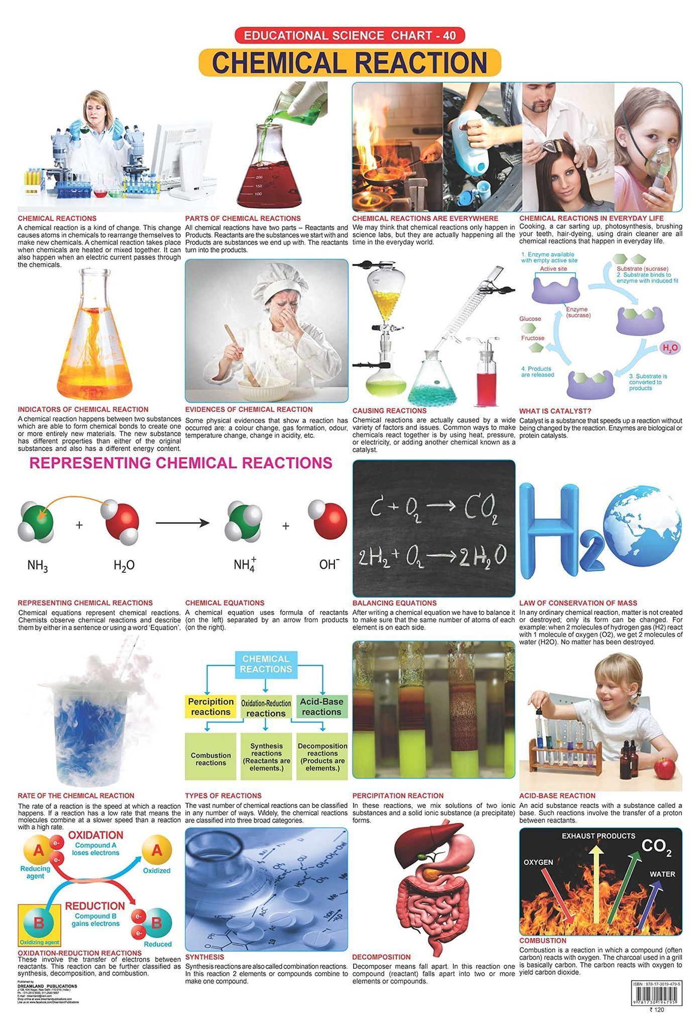 Chemical Reactions Wall Chart (Science Chart) - Both Side Hard Laminated (Size 48 x 73 cm) [Poster] Dreamland Publications