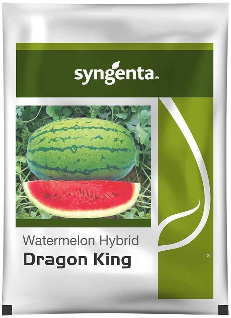 DRAGON KING