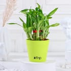 ... ...