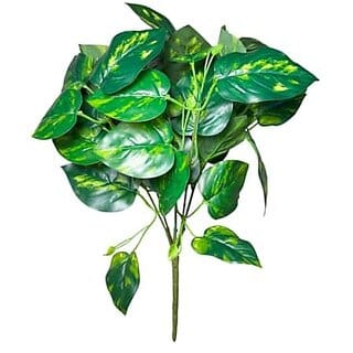 De Gardenia Natural Looking Artificial Money Plant | Ornamental Tree for Interior Home Shop and Office Decor | 18 Inches Tall | Pot Not Included (1 Carton_6)