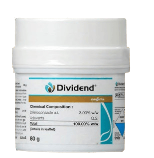 DIVIDEND