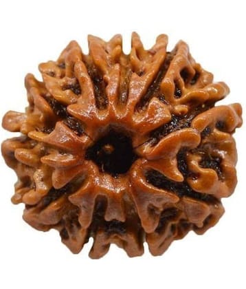 DvR ClicK - 10 Mukhi Rudraksha Pendant ( Pack of 1 )