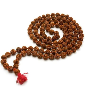 Virasat Rudrakash 108 Beads 8mm Mala