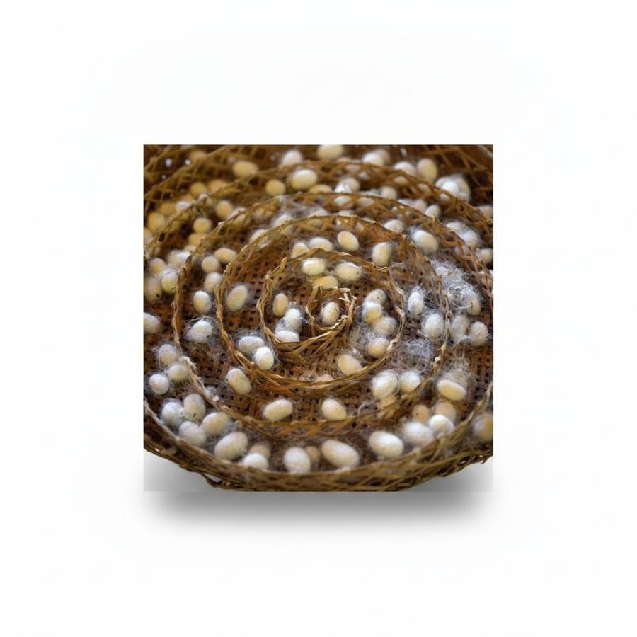Natural Silkworm Cocoons for Sericulture - 1 kg - One pack of raw silkworm cocoons