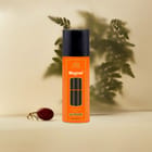 ... ...
