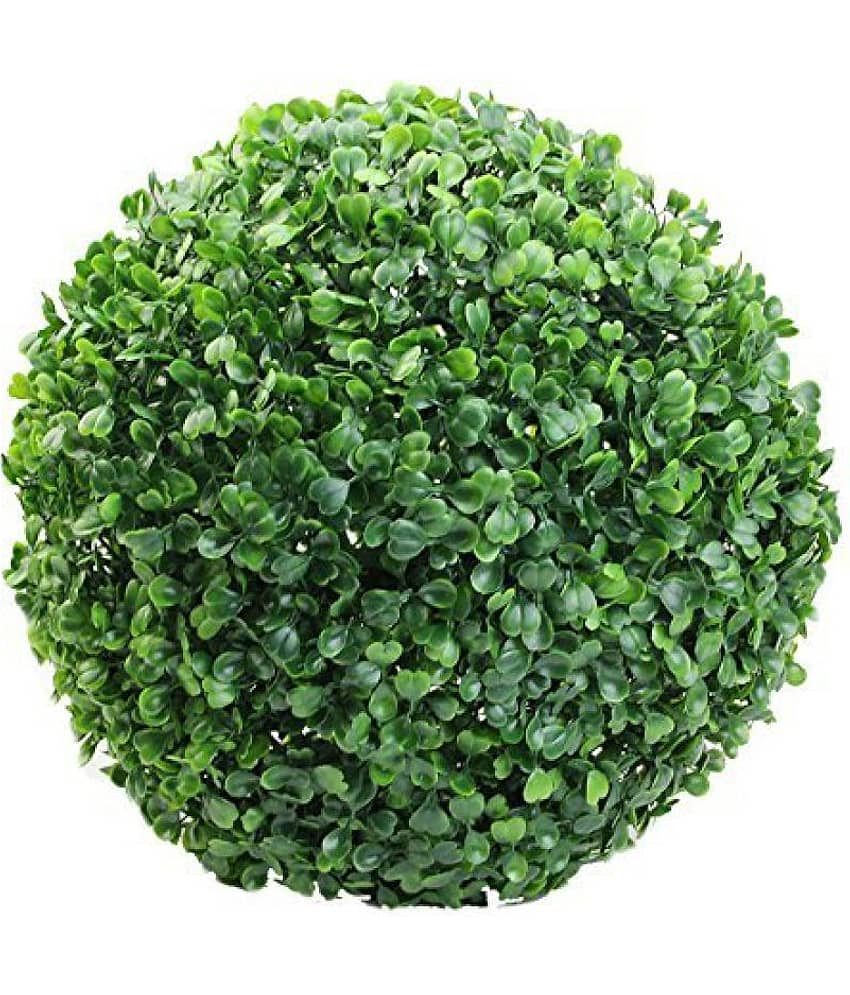 Green plant indoor Artificial Plant Hanging Ball Green Artificial Plants Bunch Plastic - Pack of 1
