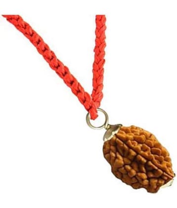 RUDRA DIVINE Rudraksha Pack of 1