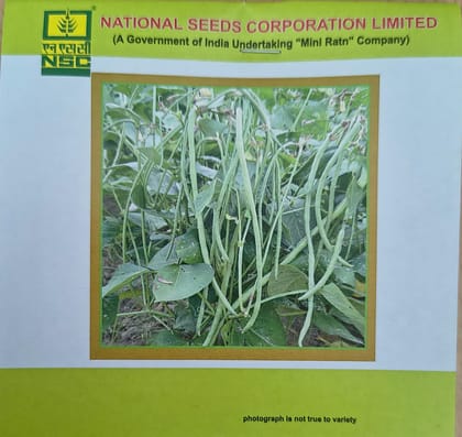 NSC Cowpea Kashi Nidhi, 20 gm