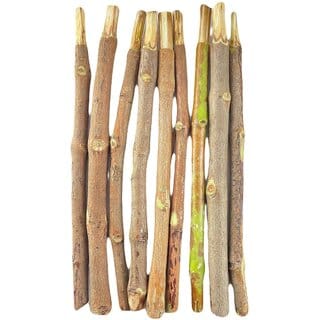 (Pack of 10) Sahada Tree Twigs  Natural Organic Sand Paper Tree Sticks/Siamese Rough Bush/Toothbrush Tree Twigs/Dantun Daant Sticks Chew Sticks for Brushing Teeth | Removes Bad Breath