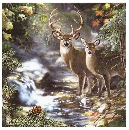 Decoupage Napkin / Tissue papers - 33cm*33cm - GT3005