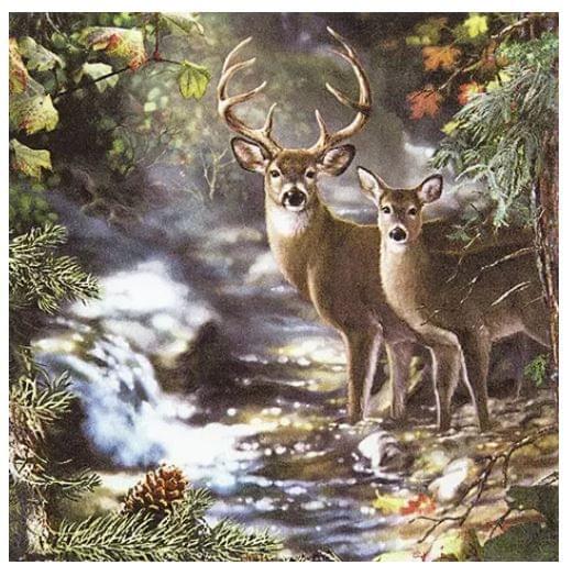 Decoupage Napkin / Tissue papers - 33cm*33cm - GT3005