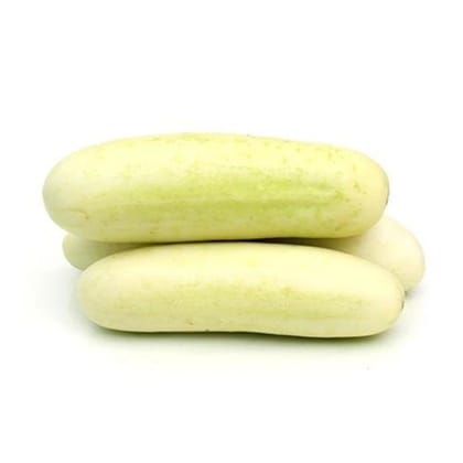 White Cucumber - Safed Kheera - Pandhara Kakdi - 500 gm