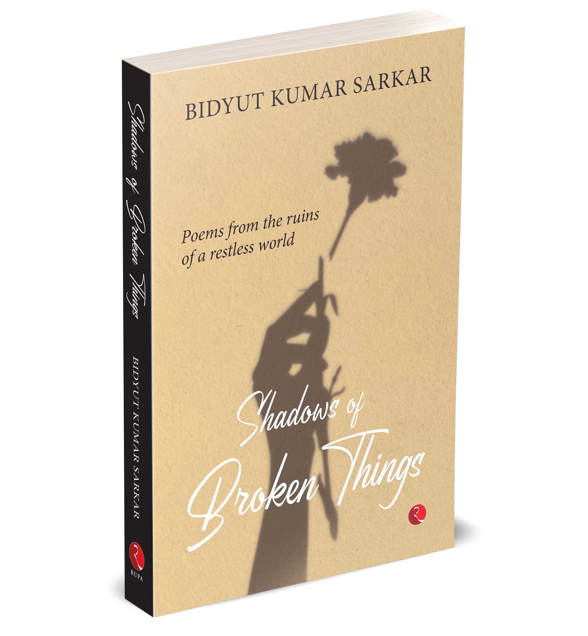 Shadows of Broken Things