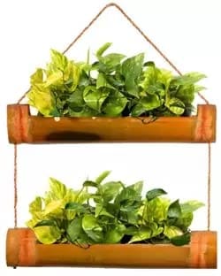 Dastkar Crafts Hanging Bamboo Planters with Adjustable Rope - Pack of 2