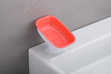 Lexo soap dish Pack of 2 Random Color