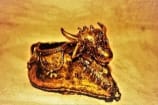 NANDI STUFF HOLDER NANDI STUFF HOLDER