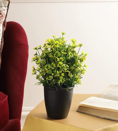 Foliyaj Real Look Artificial Plant with Pot and Yellow Daisy Flowers|Bonsai Tree|Artificial Flower|with Pot|Home D�cor for Living Room Home Office Shop|House|Gift|Decoration Foliyaj Real Look Artificial Plant with Pot and Yellow Daisy Flowers|Bonsai Tree|Artificial Flower|with Pot|Home D�cor for Living Room Home Office Shop|House|Gift|Decoration