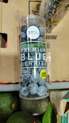 Blueberry Bottle