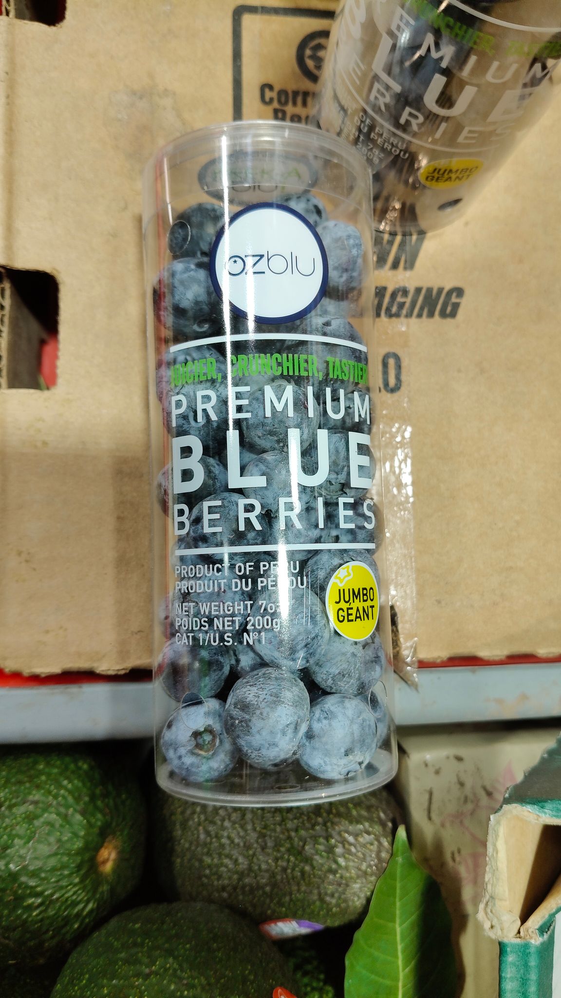 Blueberry Bottle